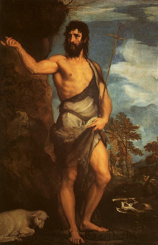  Titian St.John the Baptist Germany oil painting art